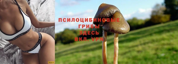 трава Абаза