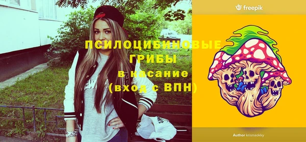 шишки Абинск