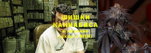 трава Абаза